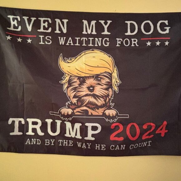 Even my dog is waiting for trump flag - Picture 1 of 1